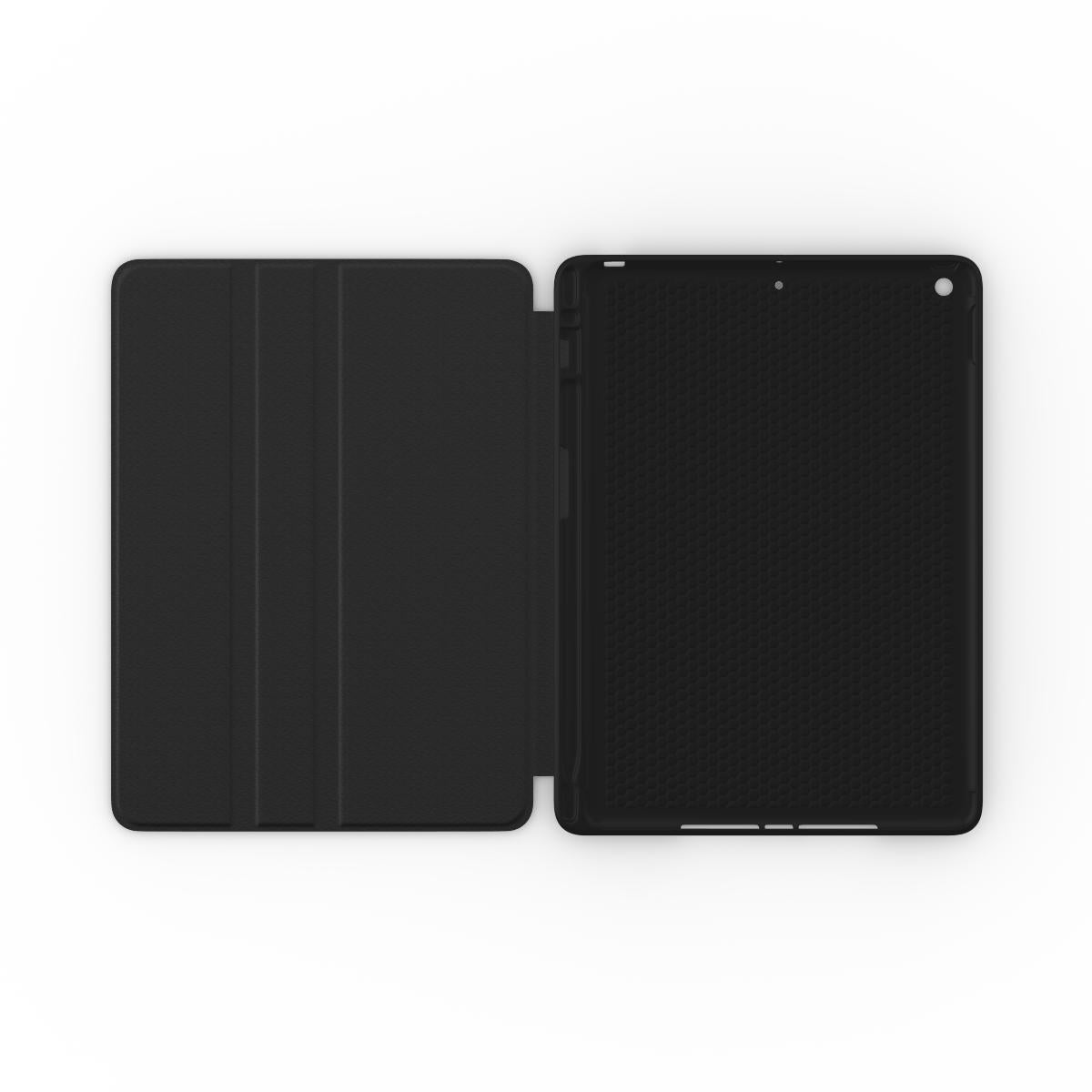 iPad case: Echoes of Cranes