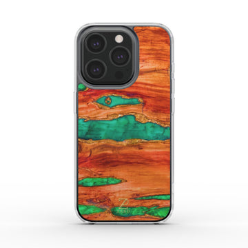 Phone clear case (MagSafe): Emerald Gold Dust Timber